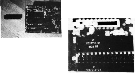 FD1771 on the LNDOUBLER 5/8