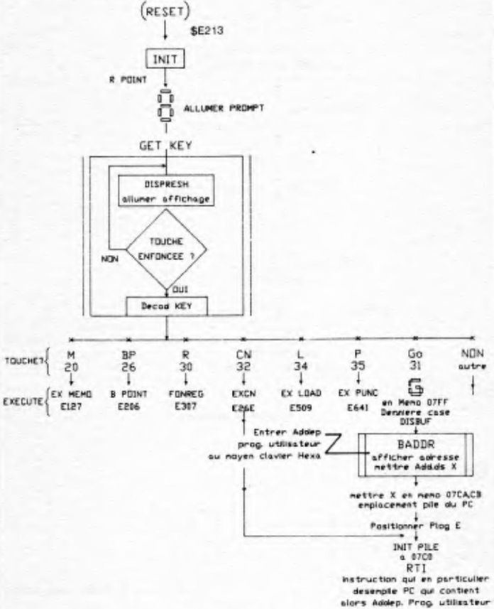 RESTAR program