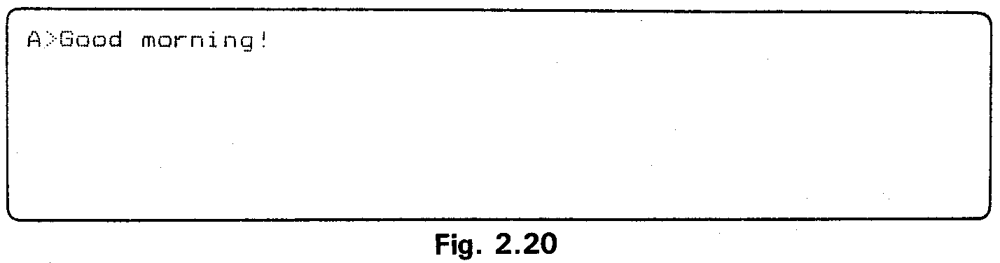 Fig. 2.20